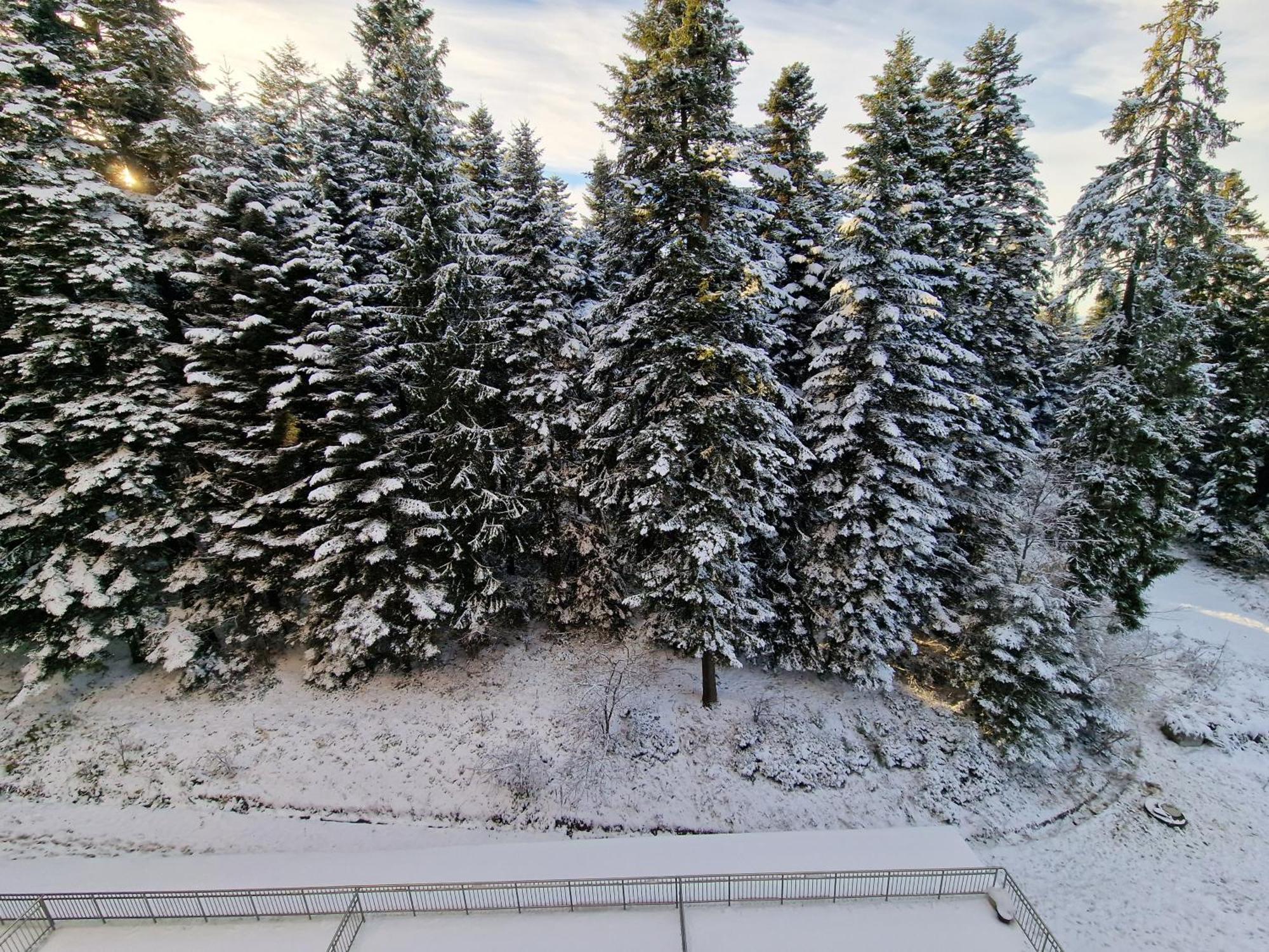 Flora Apartments Tmf Borovets Oda fotoğraf