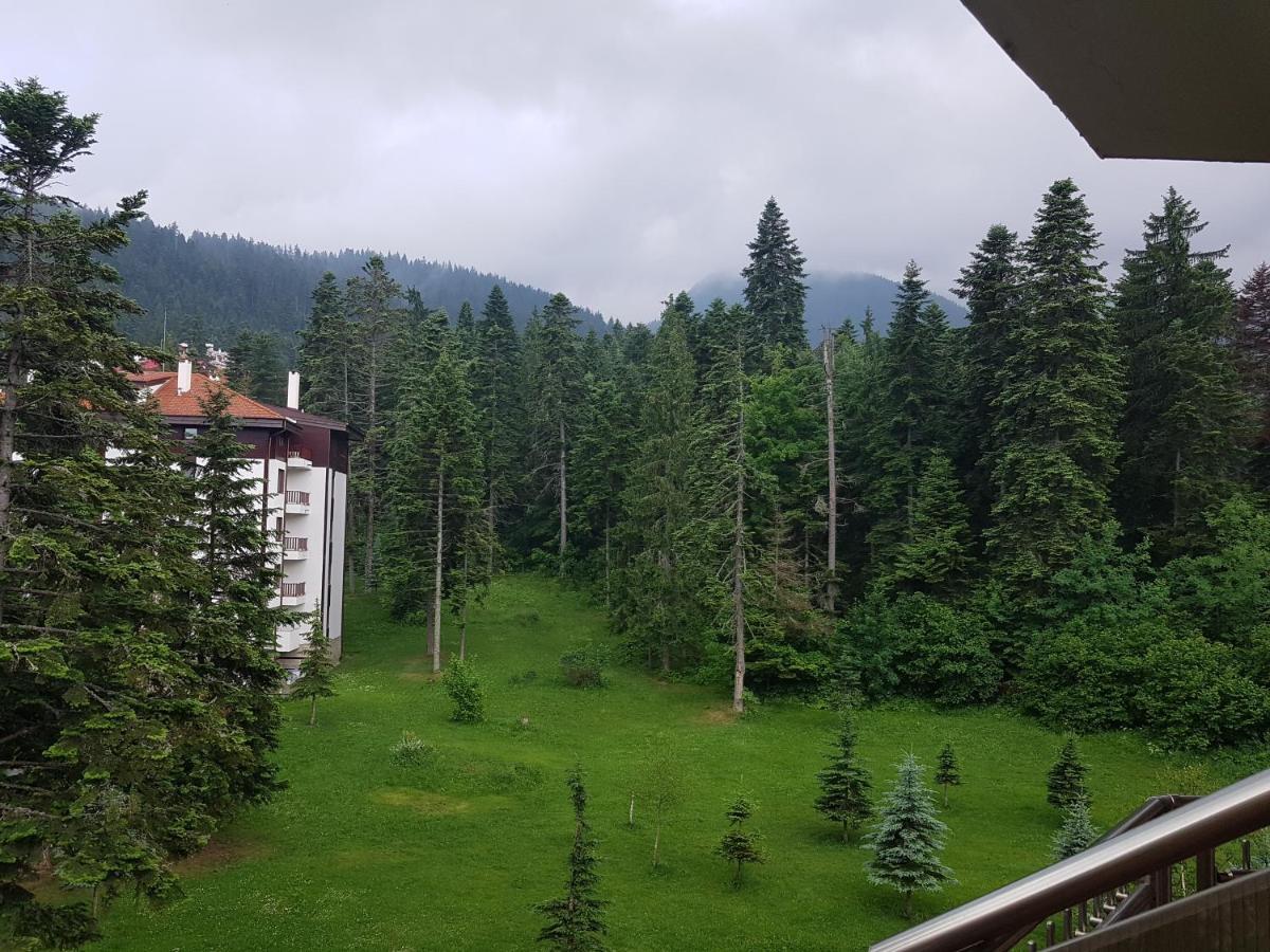 Flora Apartments Tmf Borovets Dış mekan fotoğraf