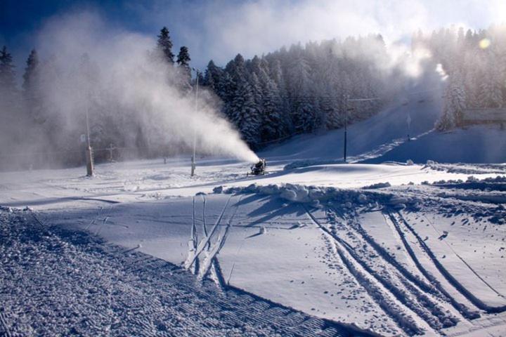 Flora Apartments Tmf Borovets Dış mekan fotoğraf