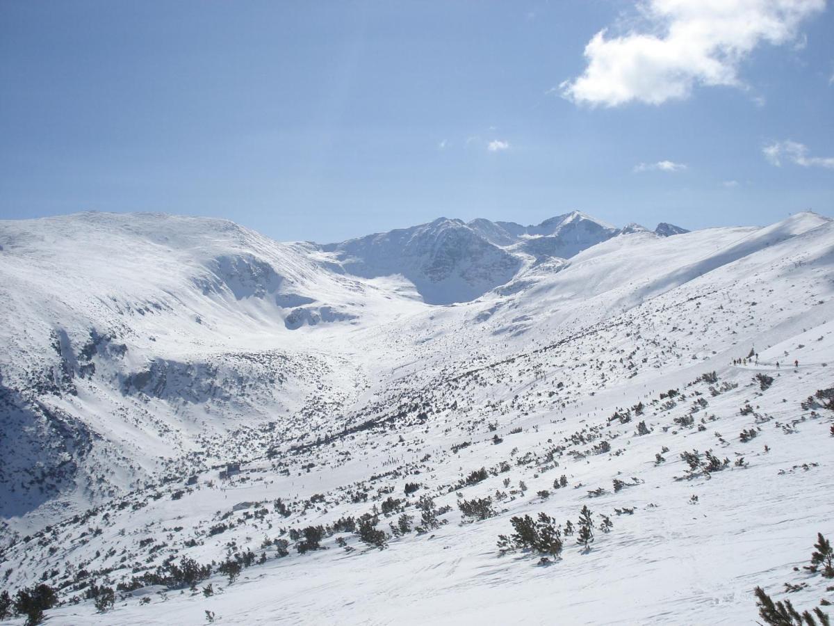 Flora Apartments Tmf Borovets Dış mekan fotoğraf