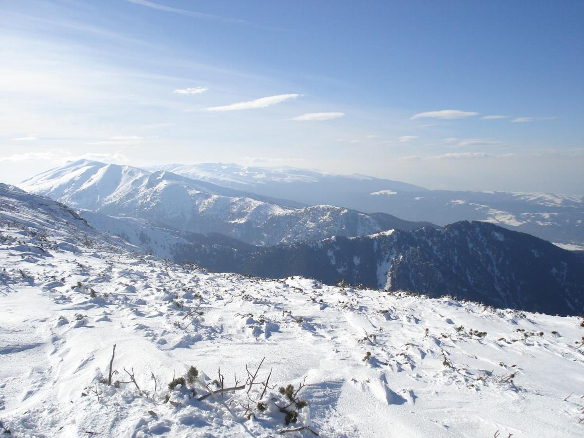 Flora Apartments Tmf Borovets Dış mekan fotoğraf
